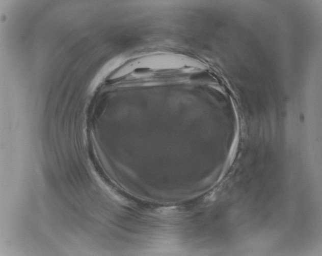 X0000073730054200608311855