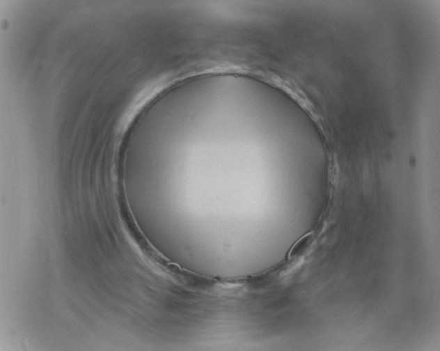 X0000073730055200608311855