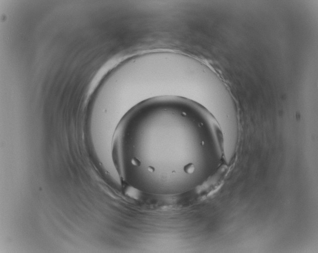 X0000073730056200608311855