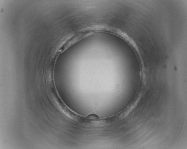 X0000073730057200608311855