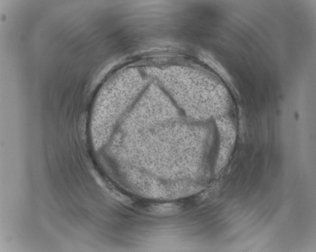 X0000073730058200608311855