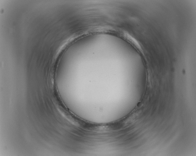 X0000073730059200608311855