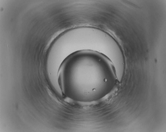 X0000073730060200608311855