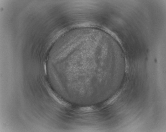 X0000073730061200608311855