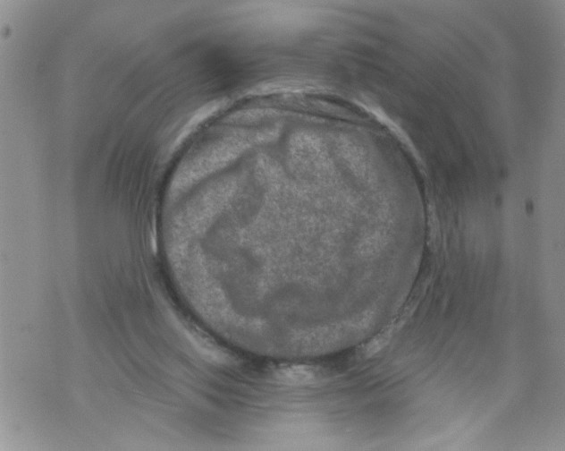 X0000073730062200608311855