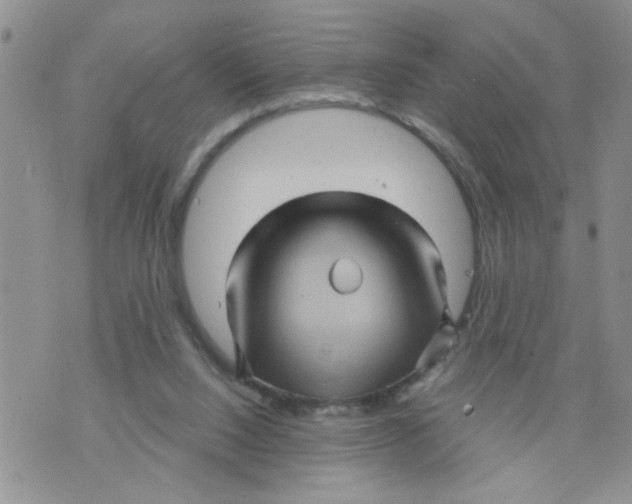 X0000073730064200608311855