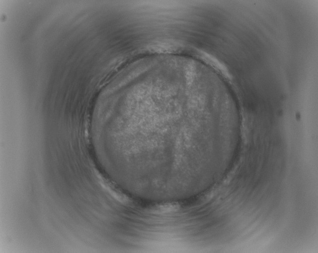 X0000073730065200608311855