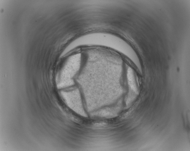 X0000073730066200608311855