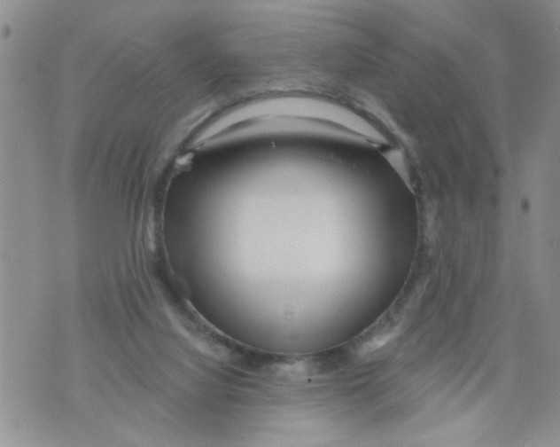 X0000073730068200608311855