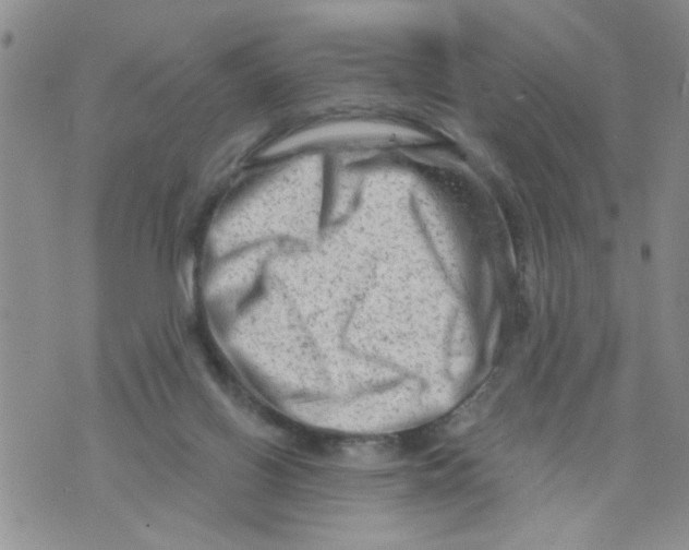 X0000073730070200608311855