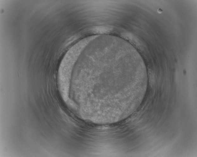 X0000073730071200608311855