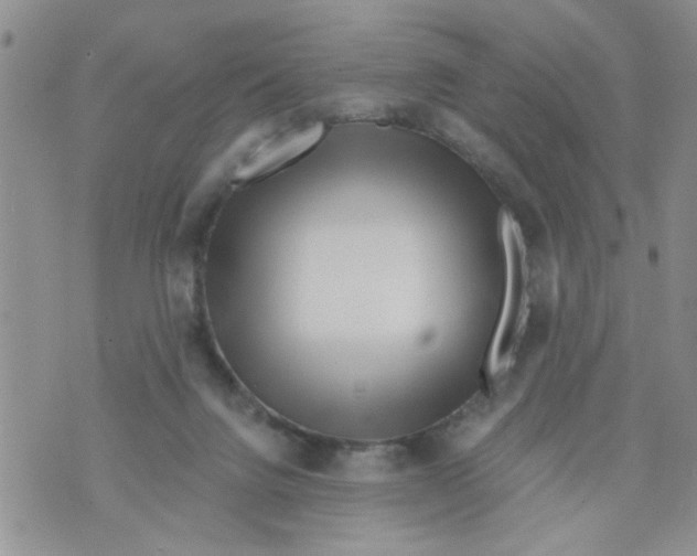 X0000073730072200608311855