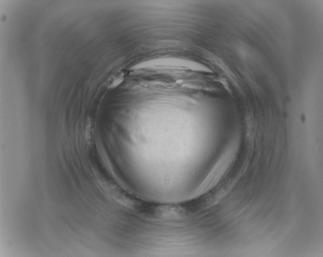 X0000073730073200608311855