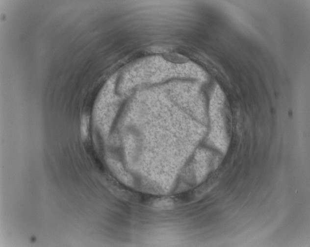 X0000073730075200608311855