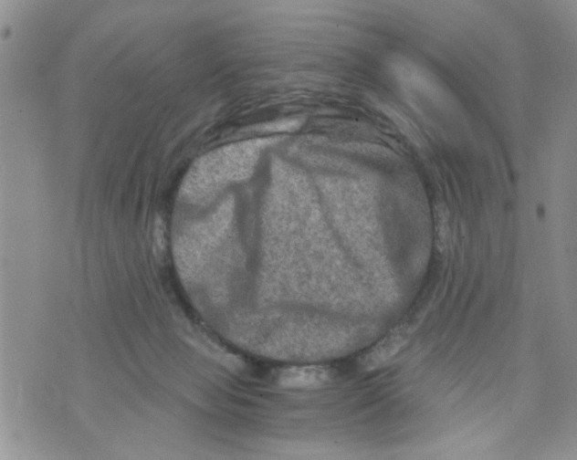 X0000073730077200608311855