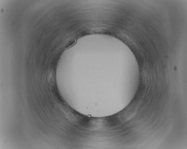 X0000073730079200608311855