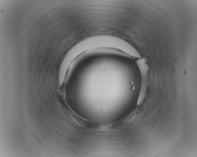 X0000073730080200608311855