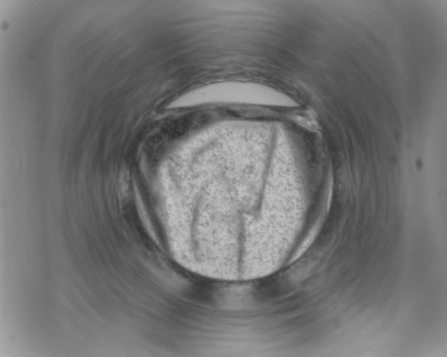 X0000073730081200608311856