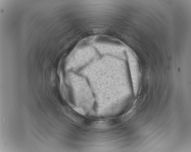 X0000073730082200608311856