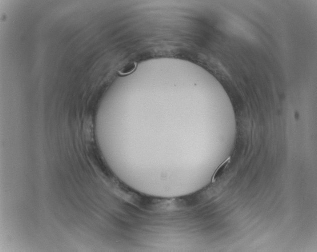 X0000073730083200608311856