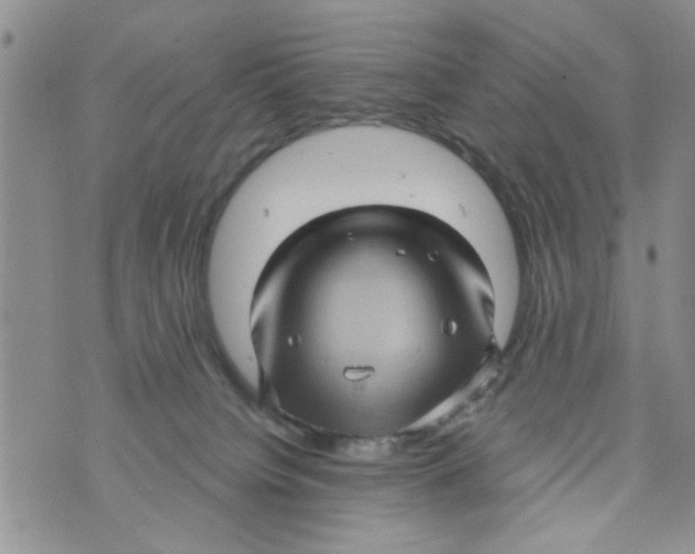 X0000073730084200608311856