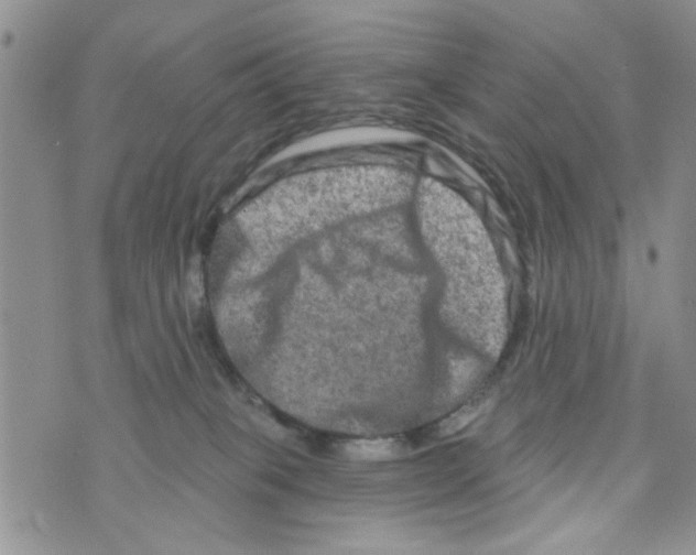 X0000073730085200608311856