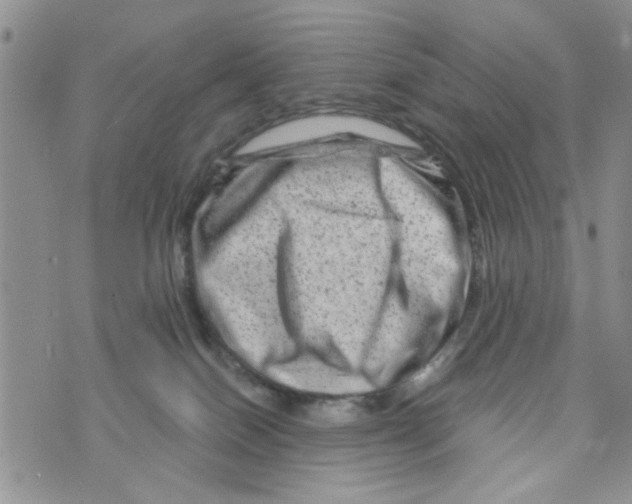 X0000073730086200608311856