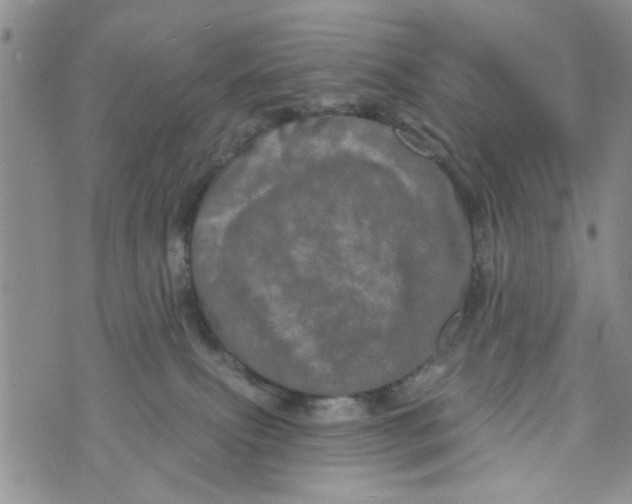 X0000073730087200608311856