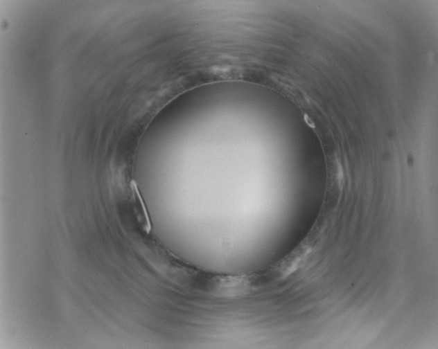 X0000073730088200608311856