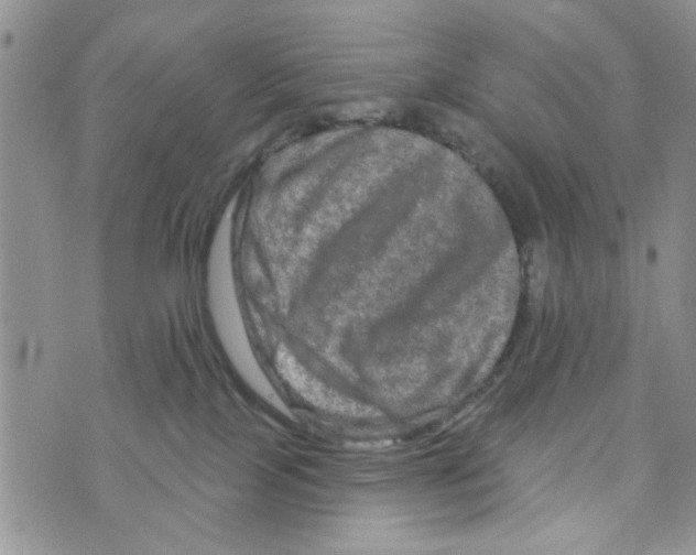 X0000073730089200608311856