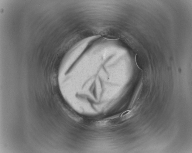 X0000073730090200608311856