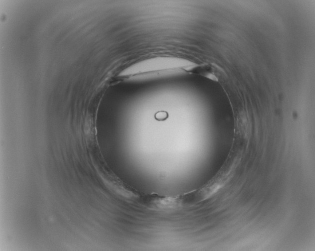 X0000073730092200608311856