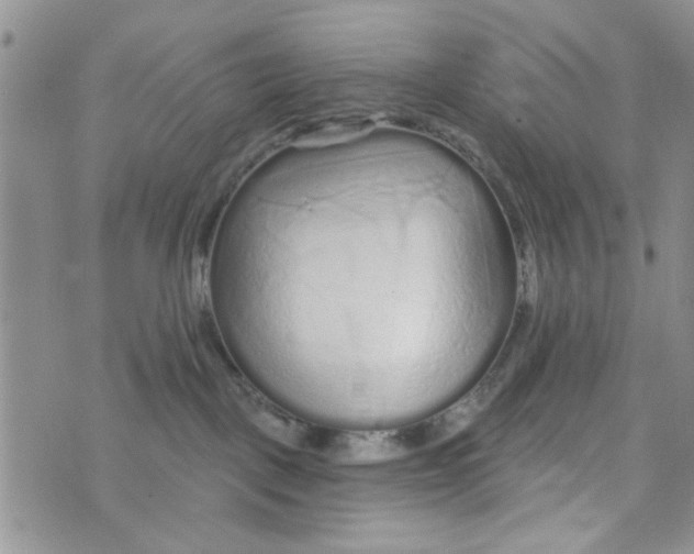 X0000073730093200608311856