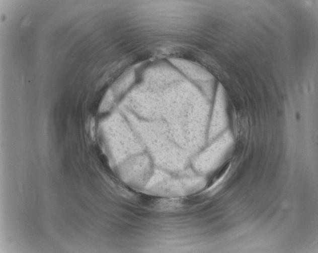 X0000073730094200608311856