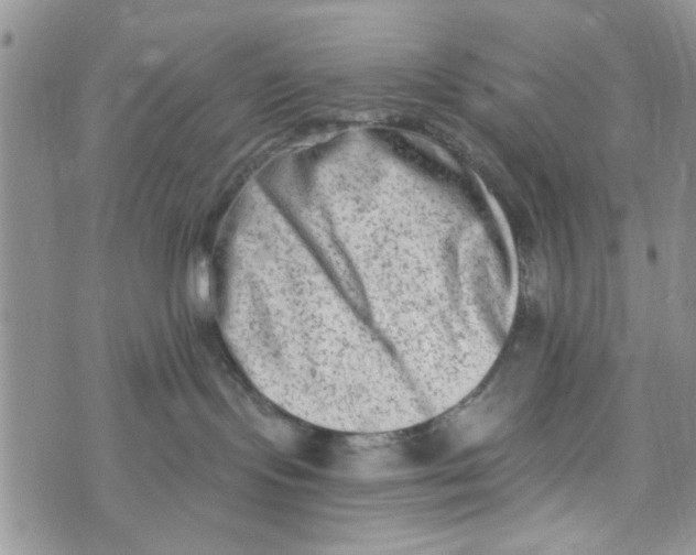 X0000073730095200608311856