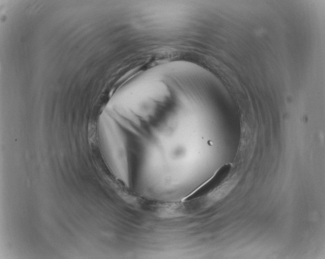 X0000073730096200608311856