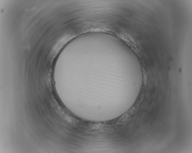 X0000073730098200608311855