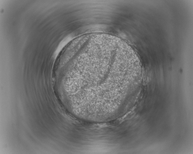 X0000073730099200608311855