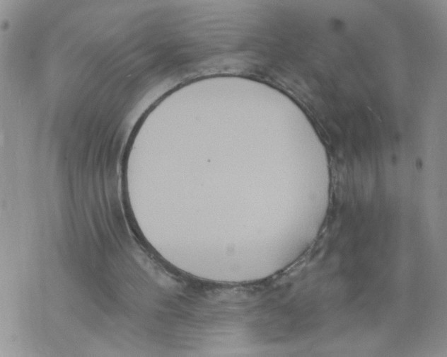 X0000073730100200608311855