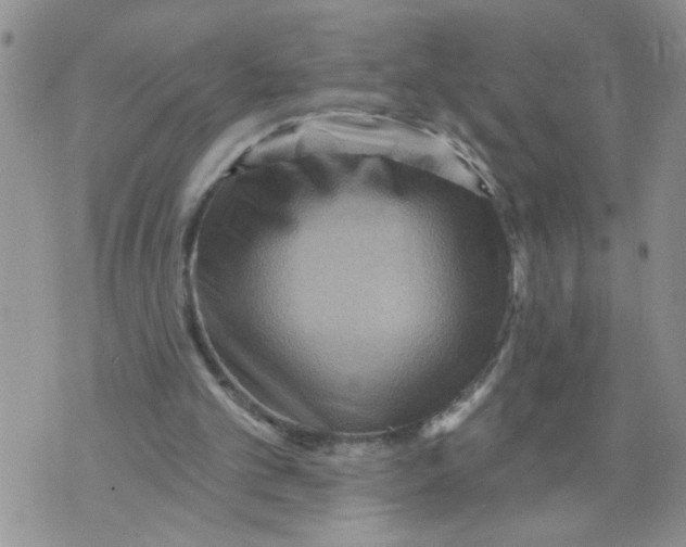 X0000073730101200608311855