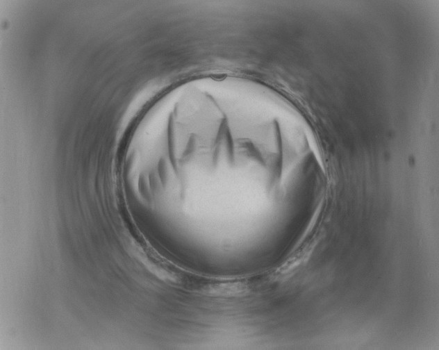 X0000073730102200608311855