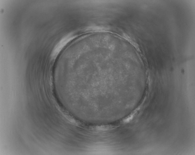 X0000073730103200608311855