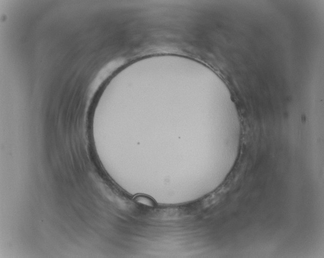 X0000073730104200608311855