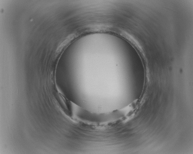 X0000073730105200608311855