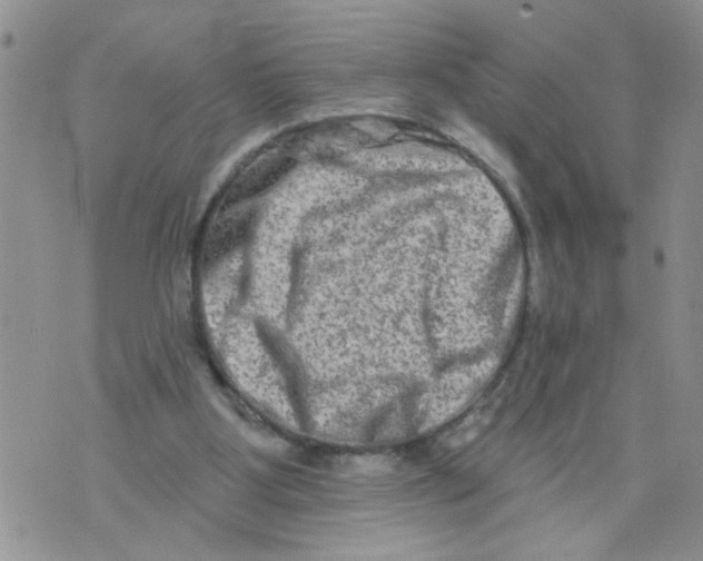 X0000073730107200608311855