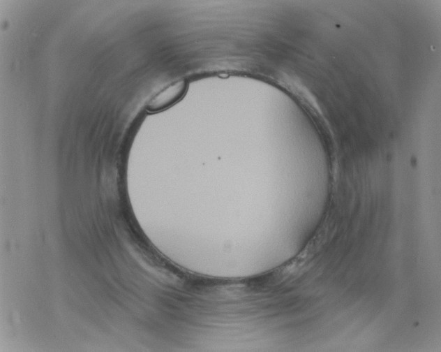 X0000073730108200608311855