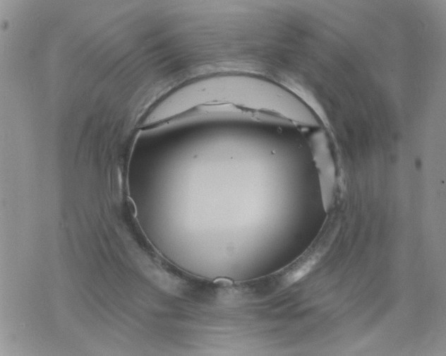 X0000073730109200608311855