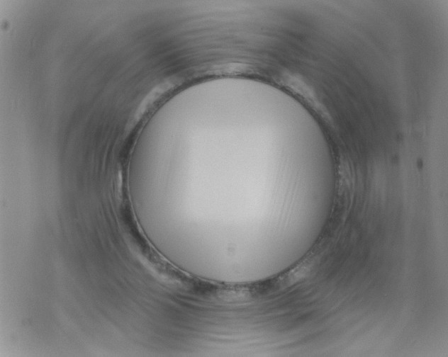 X0000073730110200608311855