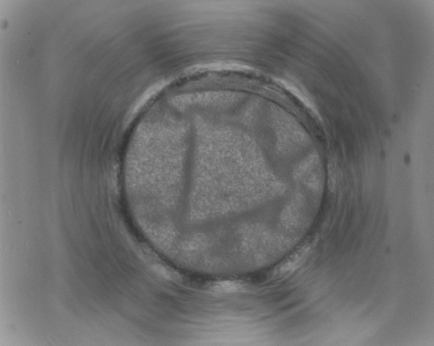 X0000073730111200608311855