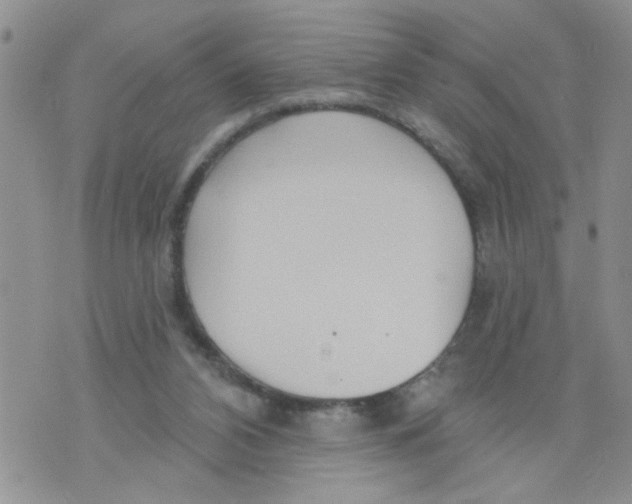 X0000073730112200608311855